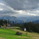 Почему стоит строить дом в Раменском районе